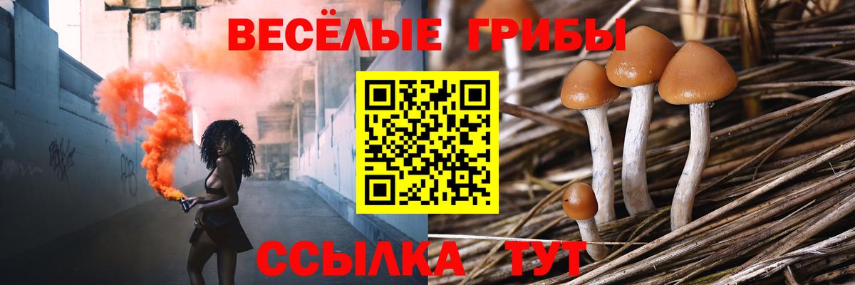где купить наркоту  Псилоцибиновые грибы прущие грибы  Выборг  Вход с VPN  Галлюциногенные грибы прущие грибы 